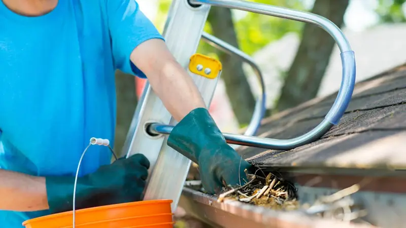 Gutter Maintenance